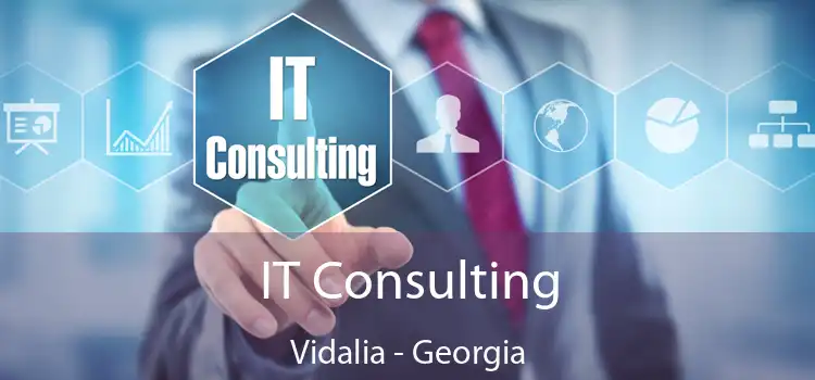 IT Consulting Vidalia - Georgia